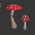 Large and Small Red Mushrooms with White Spots and Brown Stems on Black Background