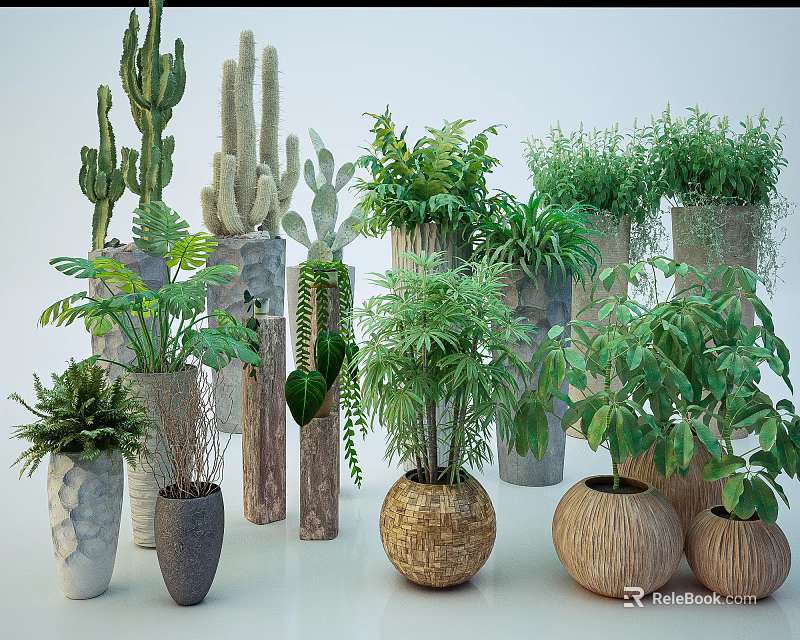 Diverse Bonsai Potted Plants With Cacti Ferns And Woven Stone Textured Pots 3d model 