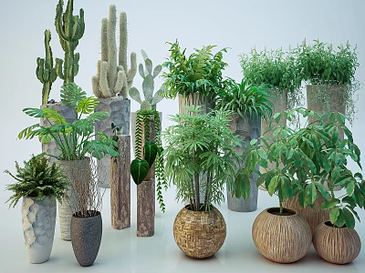 Diverse Bonsai Potted Plants With Cacti Ferns And Woven Stone Textured Pots 3d model