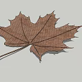 Metallic Leaf Decorative Artwork With Grid Texture And Natural Shape Design 3d model