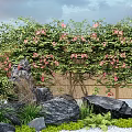 Vine With Pink Flowers Growing On Bamboo Fence Surrounded By Black Stones And Green Plants