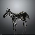 Standing Zebra With Black And White Stripes On Gray Background 3d model