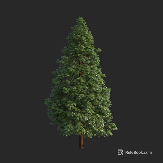 Evergreen Tree With Lush Green Foliage And Tall Brown Trunk In Natural Setting 3d model 