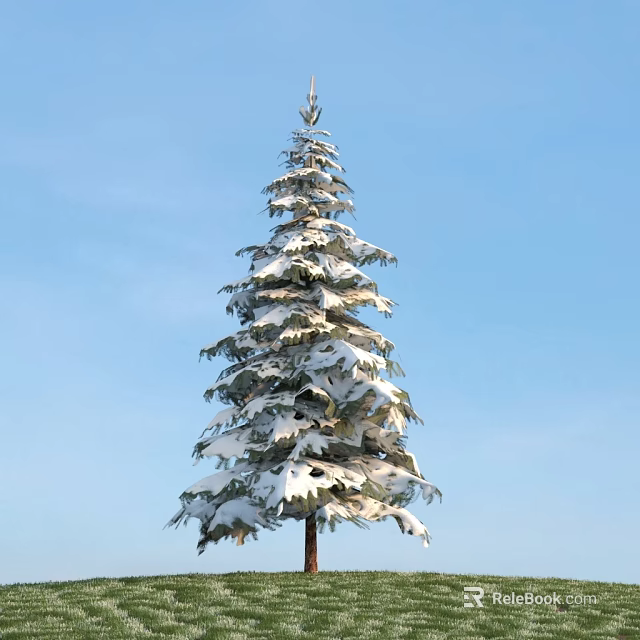 Majestic Tall Arbor Covered With Fresh Snow Standing Against Clear Blue Sky Background 3d model 
