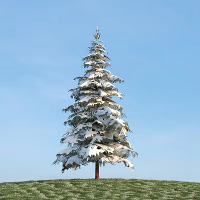 Majestic Tall Arbor Covered With Fresh Snow Standing Against Clear Blue Sky Background 3d model