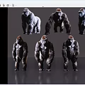 Different Poses Of Reptile Models On Shiny Reflective Surface