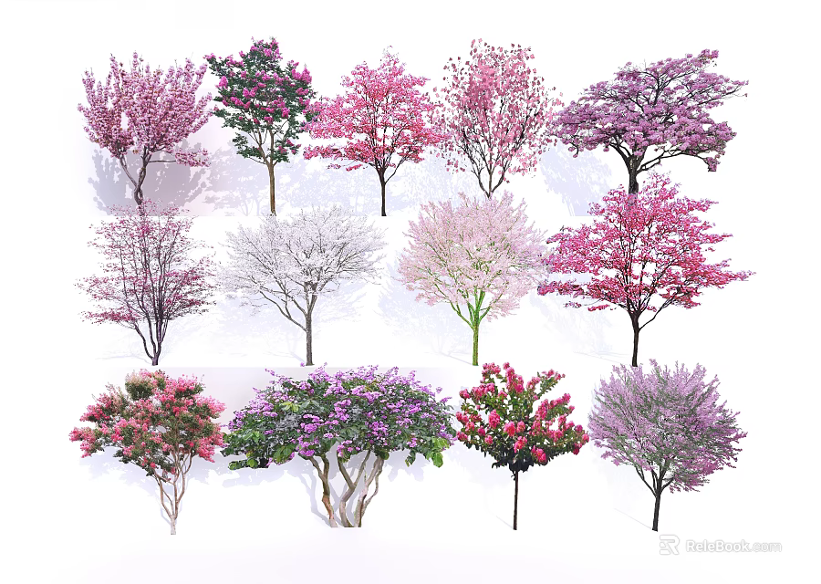 Colorful Flowering Trees In Various Shades For Garden Landscape Design 3d model 