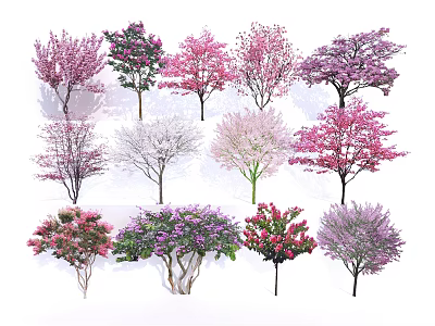 Colorful Flowering Trees In Various Shades For Garden Landscape Design 3d model