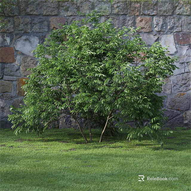 Lush Green Shrub With Dense Foliage Against Stone Wall On Green Grass 3d model 