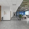 Public Office Space With Glass Partitions Blue Walls Work Desks And Green Plants