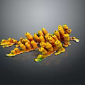 Vibrant Clustered Yellow Orange Aquatic Animals Coral Polyps Underwater Colony Structure