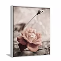 Botanical Painting Featuring Pink Rose And Flower Bud With Soft Background And Vintage Tone