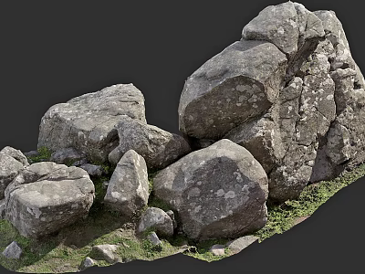 Large Stone Boulders And Wood Logs With Fresh Grass In Natural Scene 3d model
