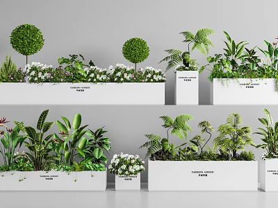 Various Green Plants Ferns and White Flowers in White Rectangular Planters 3d model