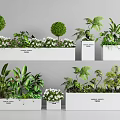 Various Green Plants Ferns and White Flowers in White Rectangular Planters 3d model