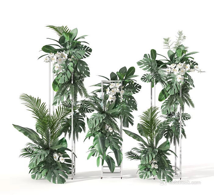Lush Green Tropical Plants With White Flowers In Transparent Stand Arrangement 3d model 