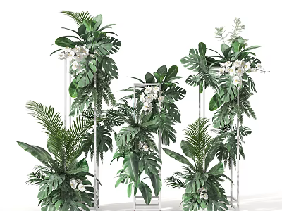 Lush Green Tropical Plants With White Flowers In Transparent Stand Arrangement 3d model