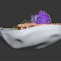 Organ And Hair Follicle Cell Structure 3D Model With Nucleus And Organelles