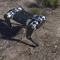 Advanced Industrial Quadruped Robotic Equipment With Metallic Structure For Outdoor Terrain