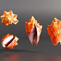 Vibrant Orange Conch Shells from Aquatic Animals in Various Shapes 3d model