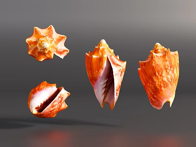 Vibrant Orange Conch Shells from Aquatic Animals in Various Shapes 3d model