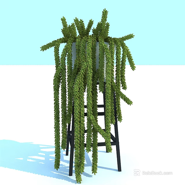 Green Hanging Bonsai Potted Plant with White Pot on Black Ladder Stand Light Blue Background 3d model 