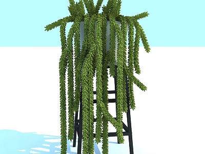 Green Hanging Bonsai Potted Plant with White Pot on Black Ladder Stand Light Blue Background 3d model