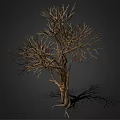 Detailed Dead Tree with Bare Branches and Exposed Roots on Dark Background 3d model