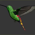 Green Hummingbird With Long Beak And Spread Wings Flying In Air