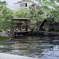 Modern Residential Landscape Design With Stone Path Water Feature And Greenery