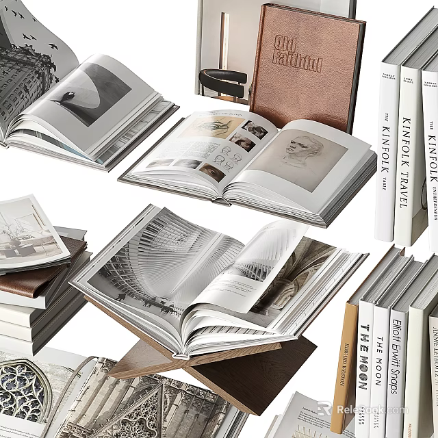 Open Books With Various Covers Interior Pages And Upright Magazines On Design Themes 3d model 