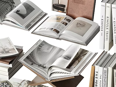 Open Books With Various Covers Interior Pages And Upright Magazines On Design Themes 3d model