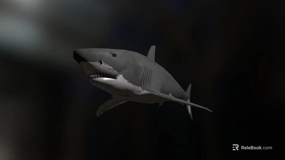 Gray Great White Shark 3D Render Swimming With Open Mouth in Dark 3d model 