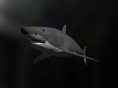 Gray Great White Shark 3D Render Swimming With Open Mouth in Dark 3d model
