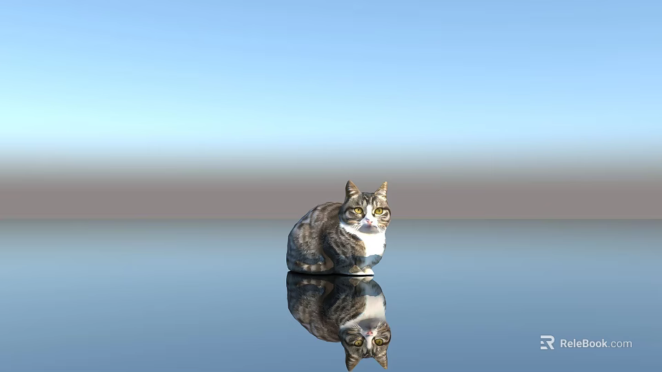 Gray Tabby Cat Sitting On Smooth Surface With Reflection And Blue Sky 3d model 
