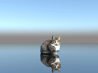 Gray Tabby Cat Sitting On Smooth Surface With Reflection And Blue Sky 3d model