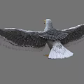 White Seagull Spreading Wings With Black Wing Tips And Yellow Beak Legs