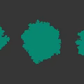 Three Tall Coniferous Pine Trees With Upright Needle Like Foliage And Shadows
