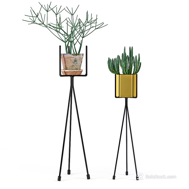 Bonsai Plants On Black Tripod Stands With Terracotta And Gold Planters And Green Foliage 3d model 