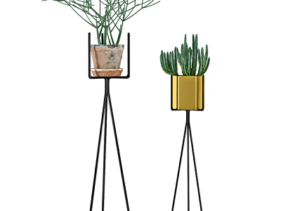 Bonsai Plants On Black Tripod Stands With Terracotta And Gold Planters And Green Foliage 3d model