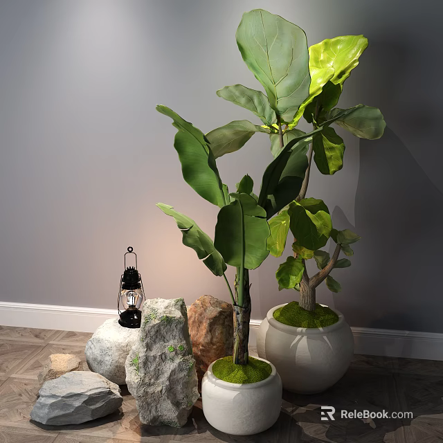 Bonsai Potted Plants With Large Green Leaves White Moss Covered Pots Stones And Black Lantern 3d model 