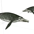 Lifelike Two Black And White Reptile Models With Streamlined Body Design