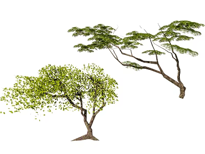 Two Distinct Trees With Lush Green Leaves And Spreading Branches 3d model