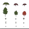 Various Arbor Trees with Green Red Leaves and Lush Branches in Garden Landscaping