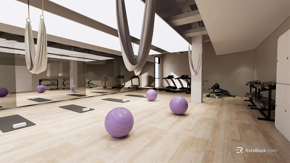 Modern Gym Fitness Area With Purple Exercise Balls Treadmills Yoga Mats Hanging Hammocks And Mirrors 3d model 