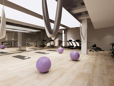 Modern Gym Fitness Area With Purple Exercise Balls Treadmills Yoga Mats Hanging Hammocks And Mirrors 3d model