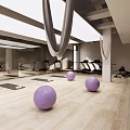 Modern Gym Fitness Area With Purple Exercise Balls Treadmills Yoga Mats Hanging Hammocks And Mirrors