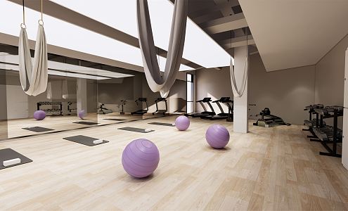 Modern Yoga Room Gym 3d model