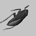 Brown Insect With Long Legs And Flat Body On Gray Background 3d model