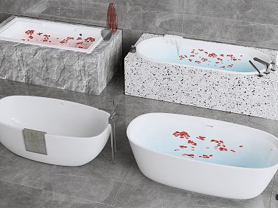 Modern Bathtub Combo model